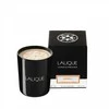 Lalique Neroli Casablanca Maroc Scented Candle, 190 g