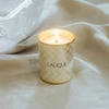 Lalique Noir Premier - Plume Blanche 1901 Floral Woody Musk Scented Candle, 190 g