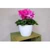 Gėlių vazonas Lamela Magnolia 751-05, plastikinis, baltas