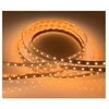 Lamp VISIONAL AMT-2835NW120-12V90