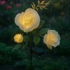 Solar lamp rose Gardlov 25282