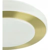 Lubinis šviestuvas Šviestuvas plafonas Eglo CARPI, 10.8 W, LED, 900369