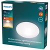 Philips Shan pritvirtinamas LED šviestuvas 1x12W