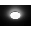 Philips Shan pritvirtinamas LED šviestuvas 1x12W