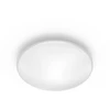 Philips Shan pritvirtinamas LED šviestuvas 1x12W