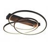 Trio Lubinis Šviestuvas Darvin 649110132. 36 W. LED 2300–4000 °K