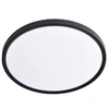 Lubinis šviestuvas Visional LED waterproof luminaire 50W, 3CCT, 6000Lm, IP44, Ø 600 x 27 mm, juodas