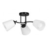 Pakabinamas šviestuvas Activejet pendant lamp AJE-ALMA 3P E27 3x40W
