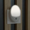 Lampka wtykowa do gniazdka ENTAC Entac ENL-O-0.5W-DS lampka nocna wtykana do gniazdka Lampka nocna do gniazdka