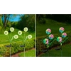Maximex Solar garden lights, LED dandelions, 2 pieces, 75 cm