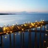 Krups „Sirius Easy-Line“ baterijomis maitinamas žibintuvėlis, 300 LED, 14,95 m