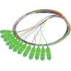Lanberg Pigtail SM SC/APC Easy Strip 9/125 G657A1 12X2M multikolor