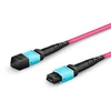 Lanview Lanview LVO230415-MTP kabelis InfiniBand / światłowodowy 15 m Violetinis
