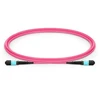 Lanview Lanview LVO230415-MTP kabelis InfiniBand / światłowodowy 15 m Violetinis