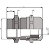 LAPP Kabelinė įvadė varinė M63 IP68 SKINTOP MS-M 63x1,5 (53112070)