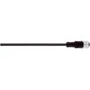 LAPP Jungiamojo kabelio ilgis 5 m su tiesiu lizdu 8P FIELDBUS M12 S/A AB-C8-5,0PUR-M12FS (22260728)