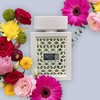 Unisex kvepalai Lattafa Rave Now White EDP, 100 ml