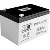 Lean Cars AGM Gel baterija automobiliui 12V 12Ah