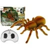 Lean toys Nuotolinio valdymo pultas Spider Tarantula Infrared Brown R/C