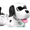 Lean Cars Interaktyvus žaislinis šuo Robot Doggy, 25 cm