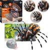 Zdalnie Nuotoliniu būdu valdomas juodas voras tarantulas