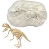 Lean Toys Mažojo paleontologo rinkinys su dinozauro griaučiais