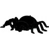 Lean Toys Interaktyvus nuotoliniu būdu valdomas voras tarantulas, 15x19 cm