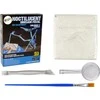 Lean Toys Archeologijos kasinėjimų rinkinys dinozauro skeletas pteranodon 3D holograma