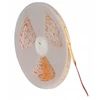 LED juosta Kanlux LED juosta 24V LCOBL 7.5W/M 24IP00-CW 690lm/m 6500K IP00 ritinėlis 20m 3 metų garantija 38919