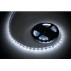 Rebel LED juosta 5m (300x5050) šaltai baltas 12V