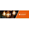 Ledvance 10x Osram LED lemputė 4,3W (50W) GU10 PAR16 36D 350lm 4000K neutralus 230V reflektorius 36 laipsnių 4058075036703