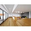 Ledvance 4W LED įleidžiama panelė DL PROTECT, balta, 3000K, IP44