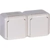 LIZDAS MONTUOJAMAS ANT PAVIRŠIAUS DVIGUBAS LE-782377 FORIX 230 V 16 A IP44 LEGRAND