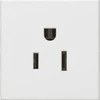 Legrand MESAIC Vieno lizdo su 15A standarto JAV balta (077504)