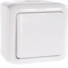 Legrand vieno poliaus mygtukas 6A baltas FORIX (782364)