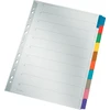 A4 mylar skirstytuvas 10 vnt. Leitz