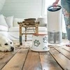 Leitz Pet Carbon Filter średni