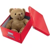 Pudło universalus Leitz CSL red