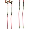 Leki THE TEETH WCR GS CARBON 3D 135