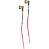 Leki LE KIJ WCR TBS GS 3D 115