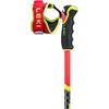 LEKI KIJE WCR GS CARBON 3D 120