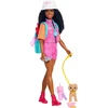 Lėlė Barbie Mattel Barbie Brooklyn JJV60 (WB4)