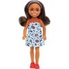 Lėlė Barbė Mattel Barbė. Chelsea ir draugai HXM97