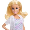 Mattel BARBIE lėlė odontologė (JMK14)