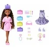Mattel Barbie Dream Besties Festival Looks lėlė Brooklyn su aksesuarais