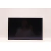 Lenovo DISPLAY AUO 16.0 WUXGA IPS AG diskas