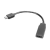 AV adapteris Lenovo Rodyti Port mini - HDMI juoda (0B47089)