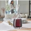 Leonardo Leonardo - Vandens grafinas 750ml CHATEAU