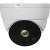 Carruzzo LevelOne ACS-5302 apsaugos stebėjimo kamera Skliautas CCTV stebėjimo kamera Vidaus ir lauko Lubos