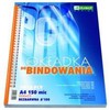 ARGO Okładka do bindowania przeźroczysta A4 0,15 GALERIA PAPIERU 81363